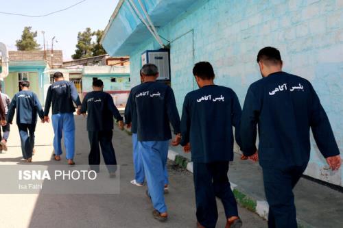 دستگیری اعضاء 2 باند سرقت 6 میلیاردی احشام در قم